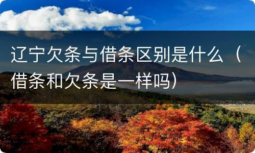 辽宁欠条与借条区别是什么（借条和欠条是一样吗）