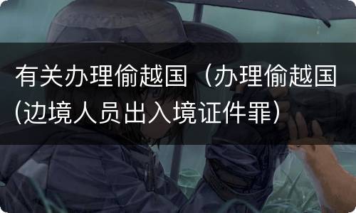 有关办理偷越国（办理偷越国(边境人员出入境证件罪）