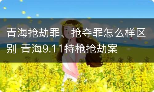青海抢劫罪、抢夺罪怎么样区别 青海9.11持枪抢劫案