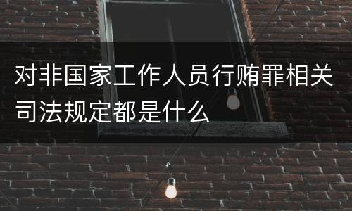 对非国家工作人员行贿罪相关司法规定都是什么