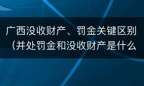 广西没收财产、罚金关键区别（并处罚金和没收财产是什么意思）