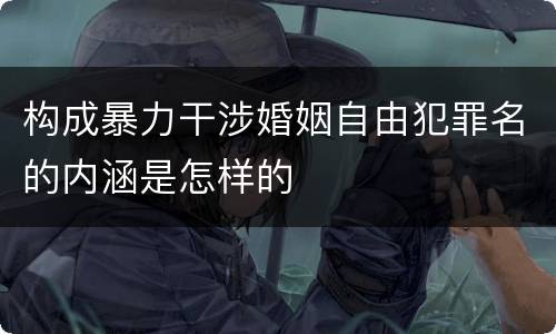 构成暴力干涉婚姻自由犯罪名的内涵是怎样的