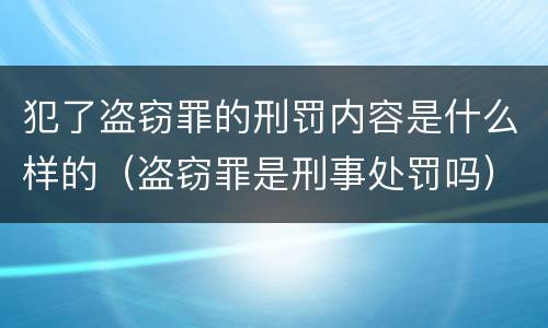 犯了盗窃罪的刑罚内容是什么样的（盗窃罪是刑事处罚吗）