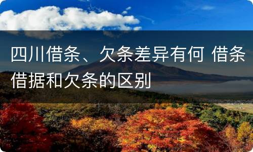 四川借条、欠条差异有何 借条借据和欠条的区别
