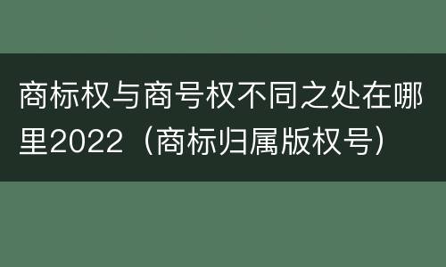商标权与商号权不同之处在哪里2022（商标归属版权号）