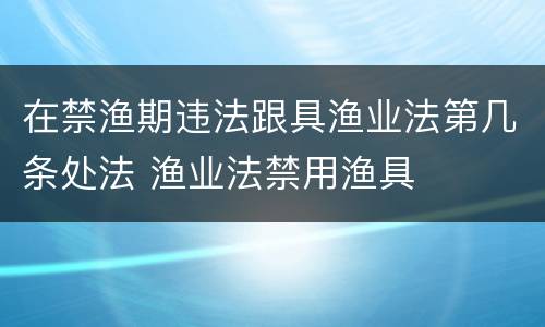 在禁渔期违法跟具渔业法第几条处法 渔业法禁用渔具