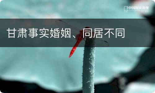 甘肃事实婚姻、同居不同