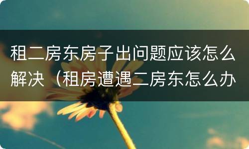 租二房东房子出问题应该怎么解决（租房遭遇二房东怎么办）