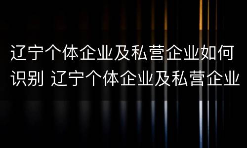 辽宁个体企业及私营企业如何识别 辽宁个体企业及私营企业如何识别法人