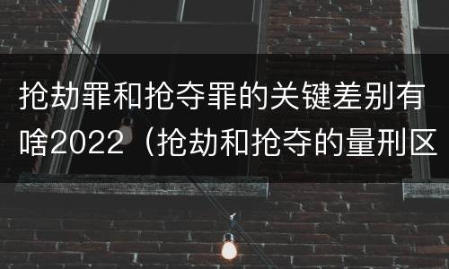 抢劫罪和抢夺罪的关键差别有啥2022（抢劫和抢夺的量刑区别）