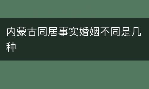 内蒙古同居事实婚姻不同是几种