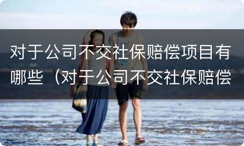 对于公司不交社保赔偿项目有哪些（对于公司不交社保赔偿项目有哪些问题）