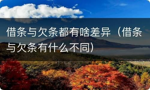 借条与欠条都有啥差异（借条与欠条有什么不同）