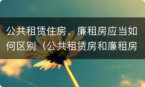 公共租赁住房、廉租房应当如何区别（公共租赁房和廉租房）