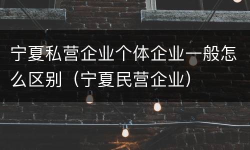 宁夏私营企业个体企业一般怎么区别（宁夏民营企业）