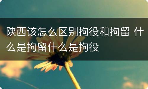 陕西该怎么区别拘役和拘留 什么是拘留什么是拘役
