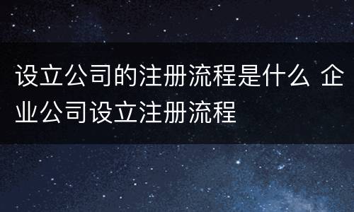 设立公司的注册流程是什么 企业公司设立注册流程