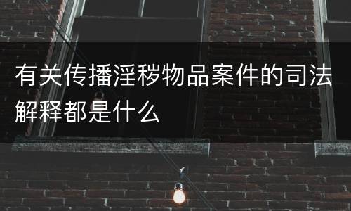 有关传播淫秽物品案件的司法解释都是什么