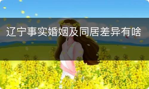 辽宁事实婚姻及同居差异有啥