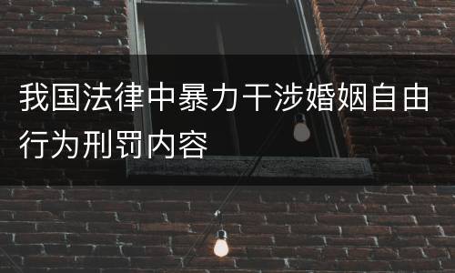 我国法律中暴力干涉婚姻自由行为刑罚内容