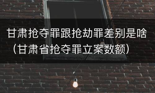 甘肃抢夺罪跟抢劫罪差别是啥（甘肃省抢夺罪立案数额）