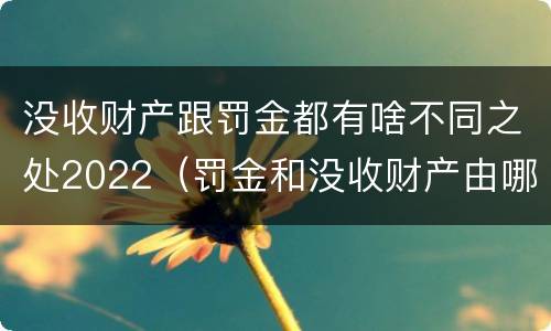 没收财产跟罚金都有啥不同之处2022（罚金和没收财产由哪个机关执行）