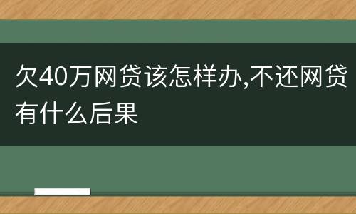 欠40万网贷该怎样办,不还网贷有什么后果