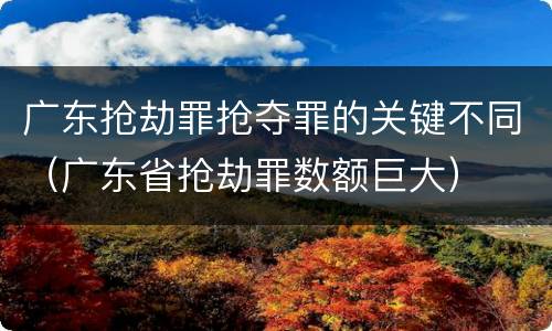 广东抢劫罪抢夺罪的关键不同（广东省抢劫罪数额巨大）
