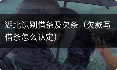 湖北识别借条及欠条（欠款写借条怎么认定）
