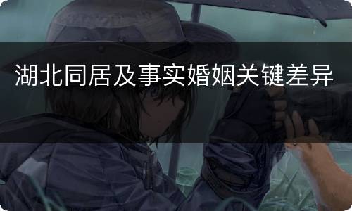 湖北同居及事实婚姻关键差异