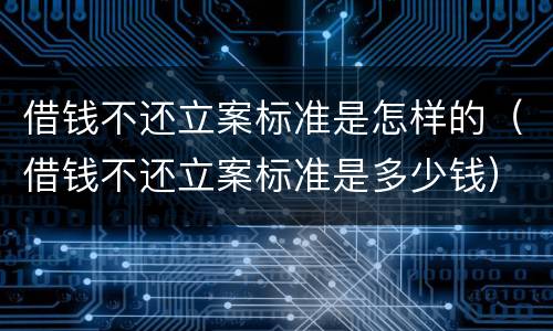 借钱不还立案标准是怎样的（借钱不还立案标准是多少钱）