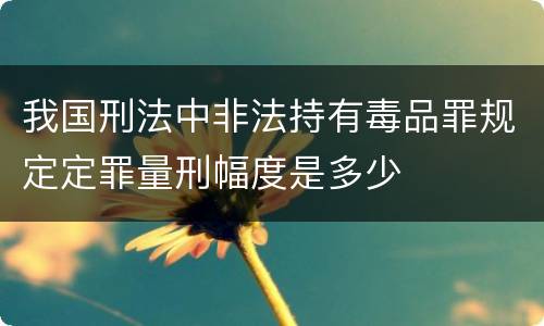 我国刑法中非法持有毒品罪规定定罪量刑幅度是多少