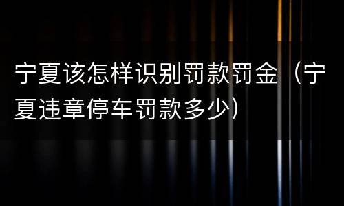宁夏该怎样识别罚款罚金（宁夏违章停车罚款多少）