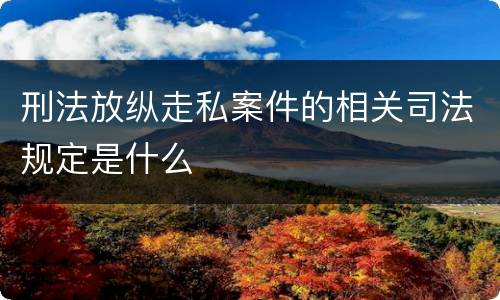 刑法放纵走私案件的相关司法规定是什么