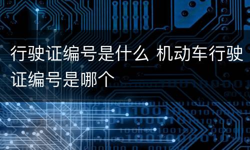 行驶证编号是什么 机动车行驶证编号是哪个