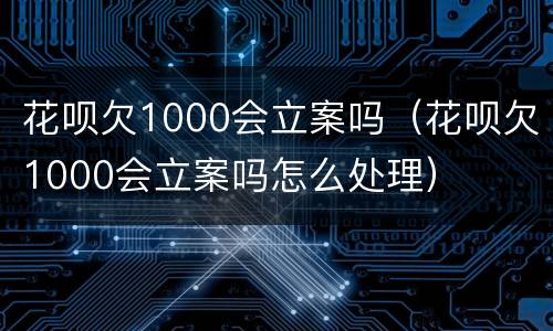 花呗欠1000会立案吗（花呗欠1000会立案吗怎么处理）