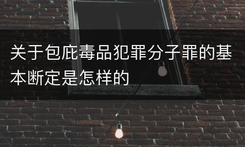 关于包庇毒品犯罪分子罪的基本断定是怎样的