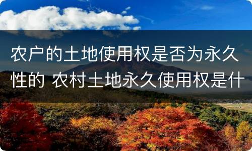农户的土地使用权是否为永久性的 农村土地永久使用权是什么意思
