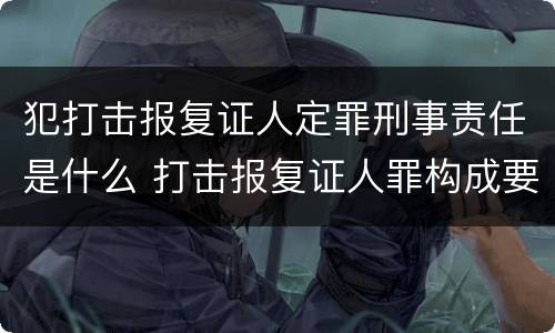 犯打击报复证人定罪刑事责任是什么 打击报复证人罪构成要件