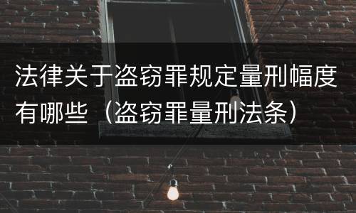 法律关于盗窃罪规定量刑幅度有哪些（盗窃罪量刑法条）