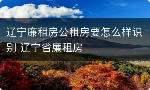 辽宁廉租房公租房要怎么样识别 辽宁省廉租房