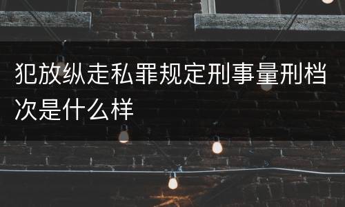 犯放纵走私罪规定刑事量刑档次是什么样