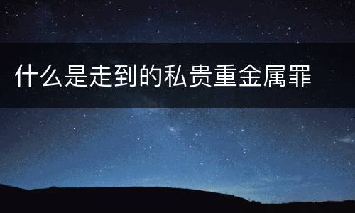 什么是走到的私贵重金属罪