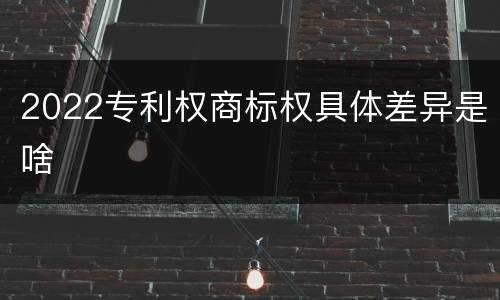 2022专利权商标权具体差异是啥