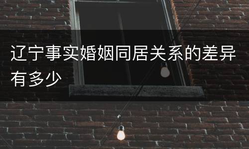 辽宁事实婚姻同居关系的差异有多少