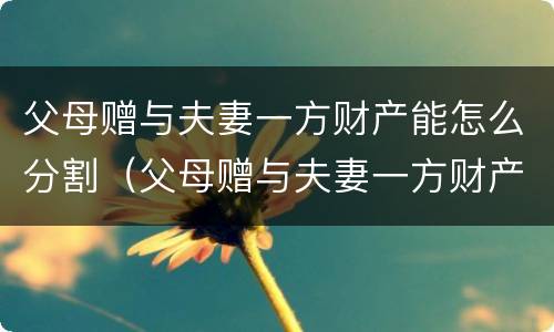 父母赠与夫妻一方财产能怎么分割（父母赠与夫妻一方财产能怎么分割呢）
