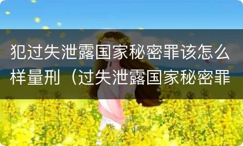 犯过失泄露国家秘密罪该怎么样量刑（过失泄露国家秘密罪怎么判）
