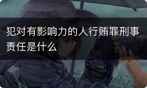 犯对有影响力的人行贿罪刑事责任是什么