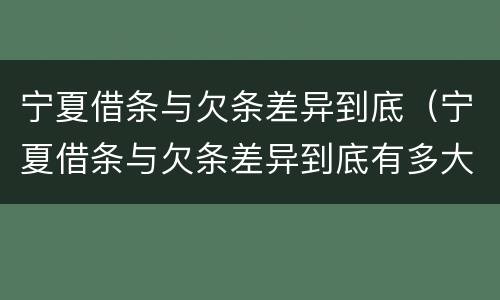 宁夏借条与欠条差异到底（宁夏借条与欠条差异到底有多大）