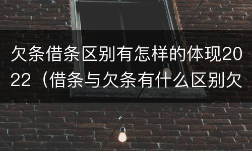 欠条借条区别有怎样的体现2022（借条与欠条有什么区别欠条怎么写）